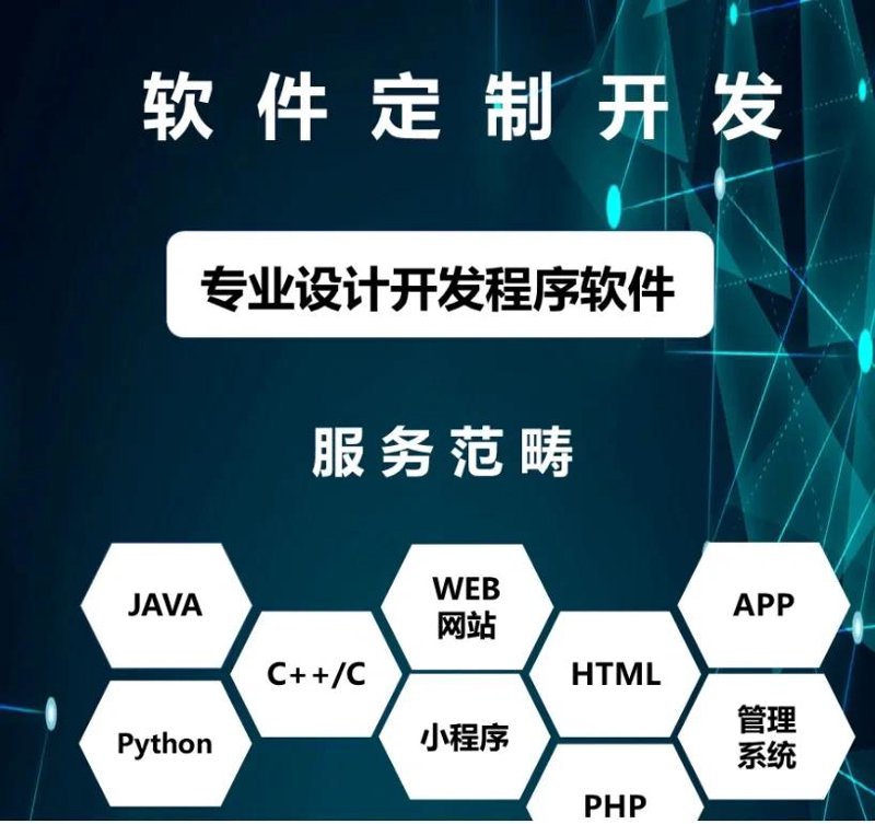 软件定制开发:企业信息化升级的新引擎